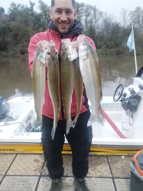 Pesca de Pejerrey (todo incluido)