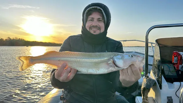 Jornada completa de pesca