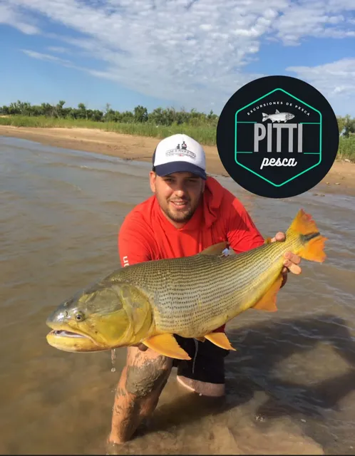 Paquete base/ paquete full