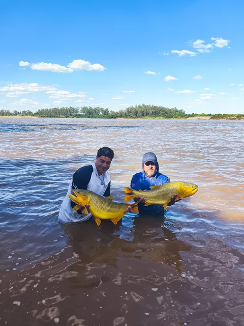 Pesca dorados