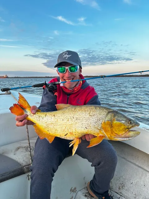 Dorados excursión full