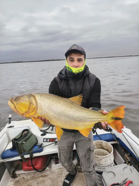 Jornada completa de pesca