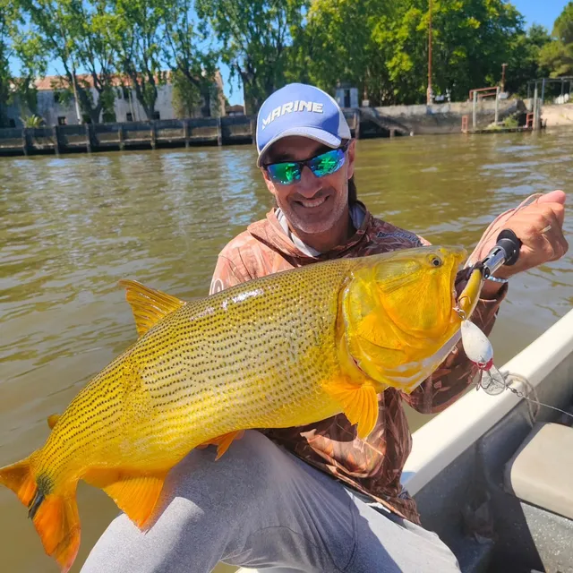 PESCA EMBARCADA TODO EL DIA