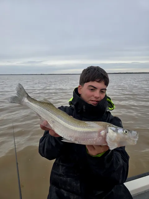 Jornada de Pesca en Berisso