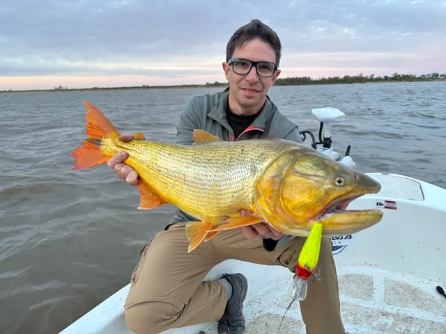 Salida de pesca full x 3