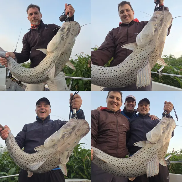 Jornada completa 15hs de pesca nocturna