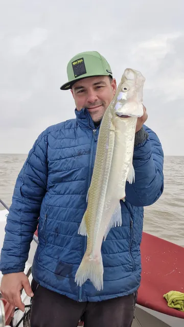Jornada de pesca