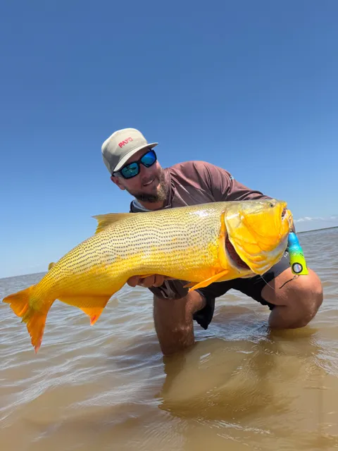 Jornada de pesca variada