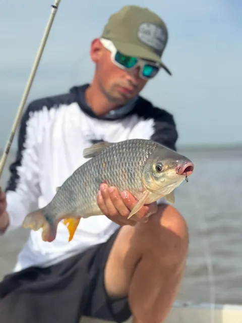 Pesca de variada