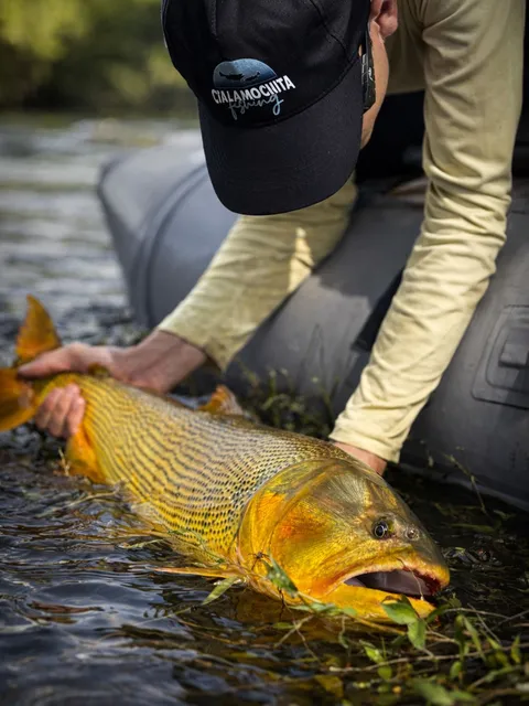 PESCA DE DORADOS EN CÓRDOBA (A)