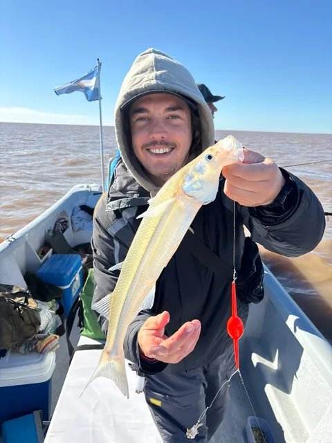 Salidas PEJERREY
