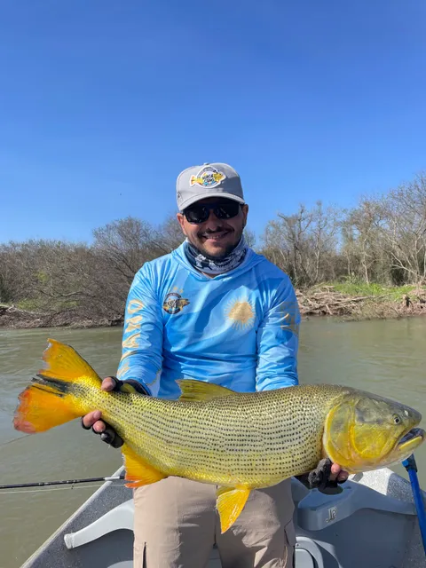 Flotada por Día