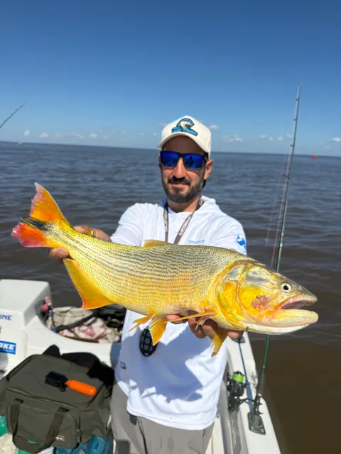 Jornada de pesca guiada